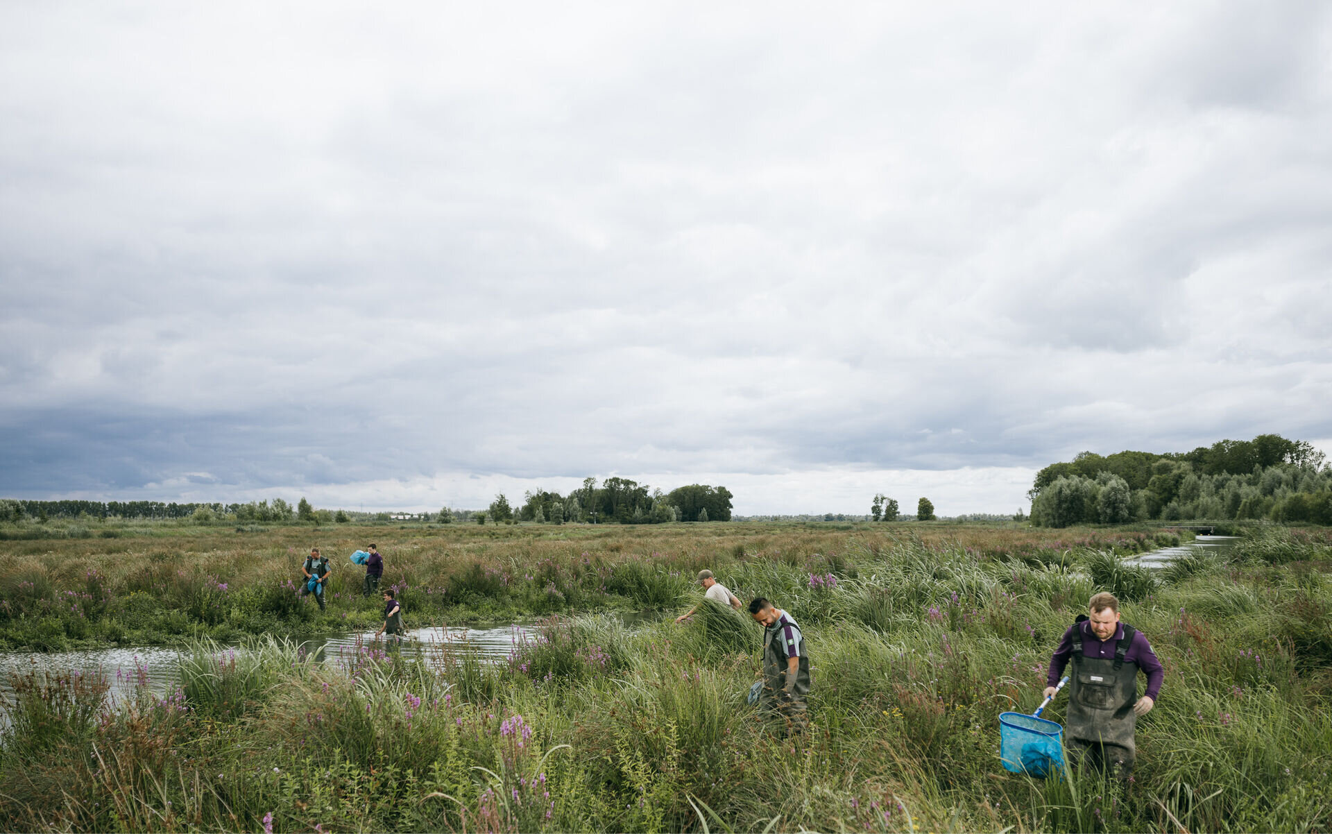 Dit land is mijn werkterrein